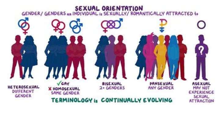 Harvey Levin's Sexual Orientation Demystified